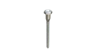 Picture of Pion Power PVSolver Lag Bolt Package (M8*100)