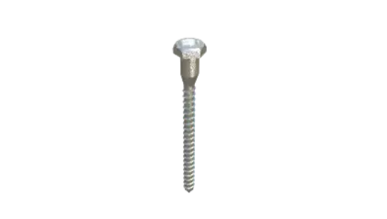 Picture of Pion Power PVSolver Lag Bolt Package (M8*100)